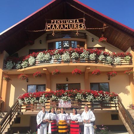 Pensiunea Maramures Aknasugatag Kültér fotó