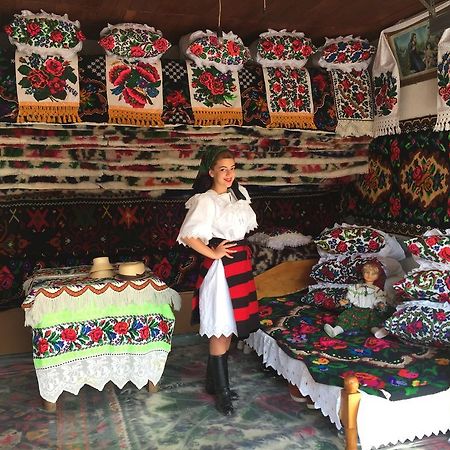 Pensiunea Maramures Aknasugatag Kültér fotó