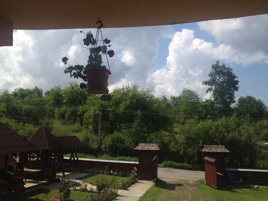 Pensiunea Maramures Aknasugatag Kültér fotó