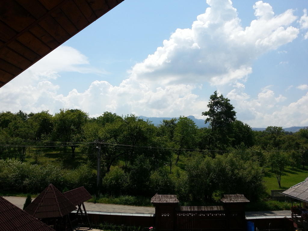 Pensiunea Maramures Aknasugatag Kültér fotó