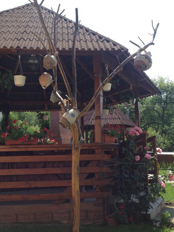 Pensiunea Maramures Aknasugatag Kültér fotó