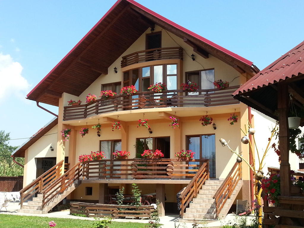 Pensiunea Maramures Aknasugatag Kültér fotó