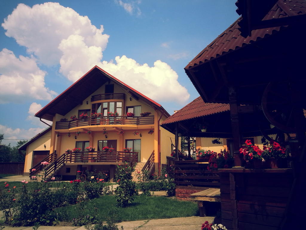 Pensiunea Maramures Aknasugatag Kültér fotó