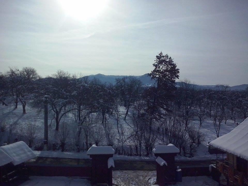 Pensiunea Maramures Aknasugatag Kültér fotó