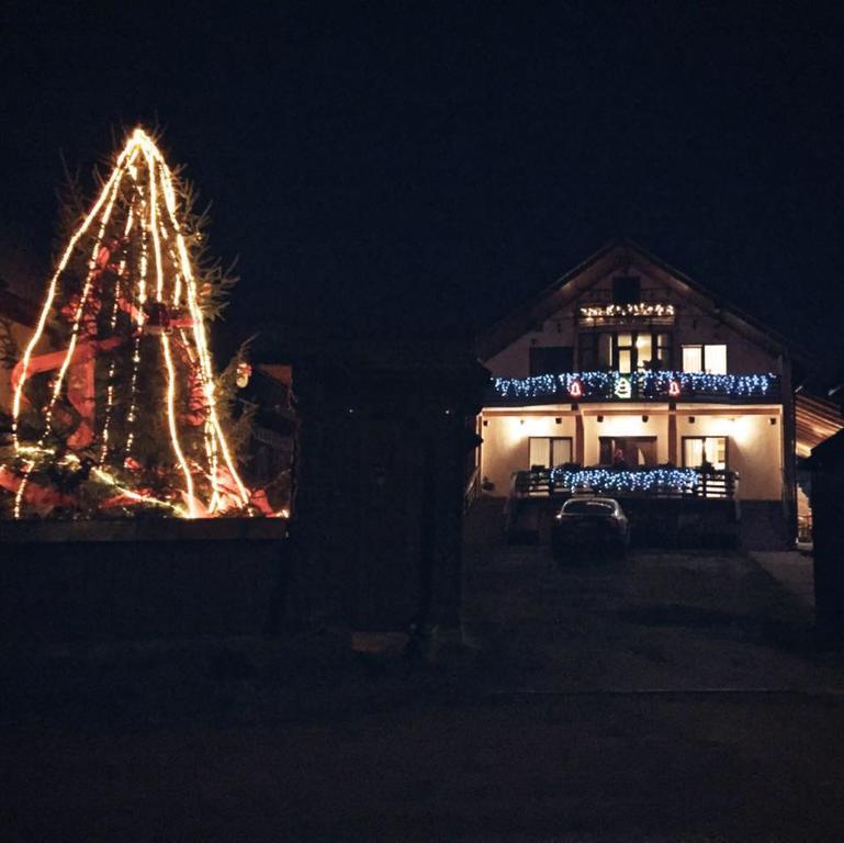 Pensiunea Maramures Aknasugatag Kültér fotó
