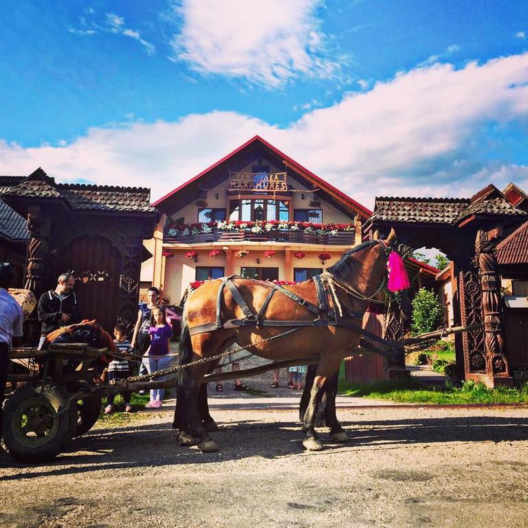 Pensiunea Maramures Aknasugatag Kültér fotó