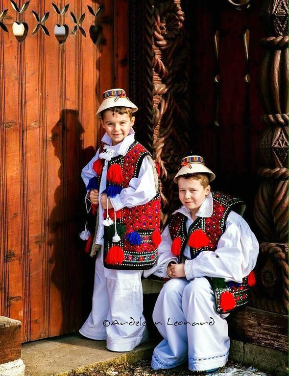 Pensiunea Maramures Aknasugatag Kültér fotó